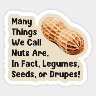 Many Things We Call Nuts Are, In Fact, Legumes Seeds or Drupes! Sticker